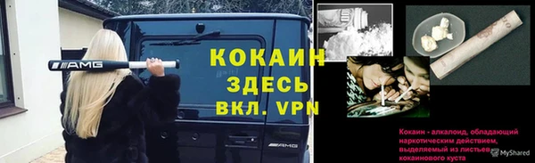 трава Гусь-Хрустальный