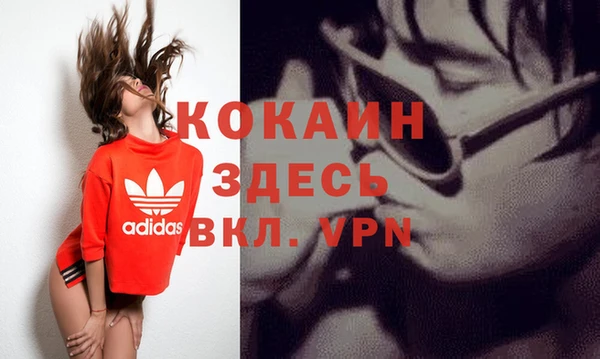 альфа пвп Гусев