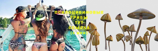кокс Гусиноозёрск