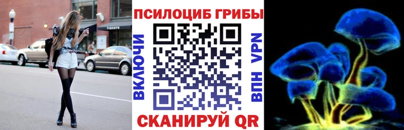 Купить  Новочебоксарск  Галлюциногенные грибы прущие грибы